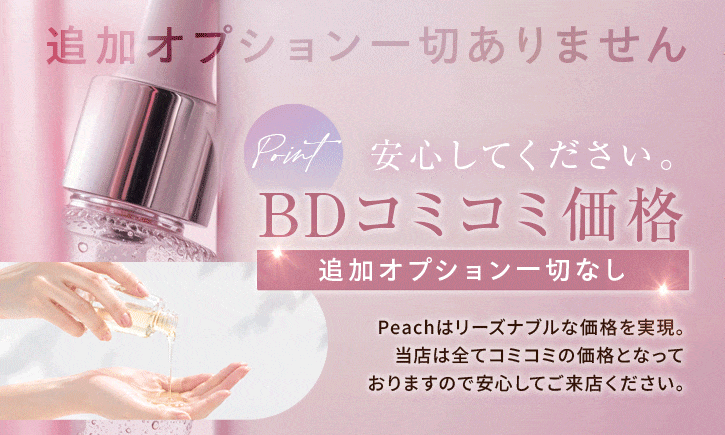 BDコミコミ価格、追加オプション一切なし